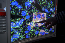 A hand points at a colorful array of cells on a computer screen.